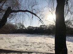 -北陵公园