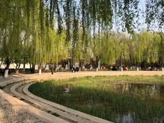 -丰台科技园生态主题公园