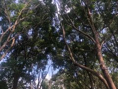 -巡塘古镇