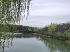 -昆山城市生态森林公园