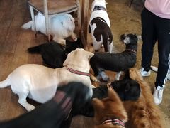 -萌喵咖啡屋(人民东路4号口M16商铺店)