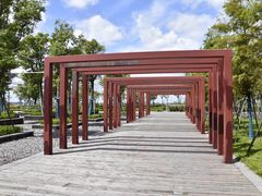 -春花秋色城市公园