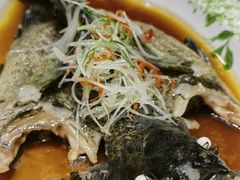 清蒸石斑-奇芳阁·百年清真南京菜(夫子庙店)