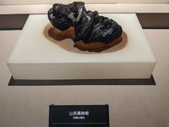 -河姆渡遗址博物馆