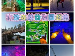 -大连森林动物园