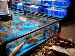 水产区-盒马鲜生(双清路店)
