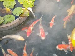 -石峰岩寺
