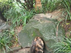 -静安公园(静安寺街道)