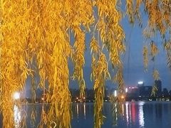 -天鹅湖体育公园