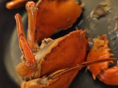 -莲花公园煎蟹(总店)