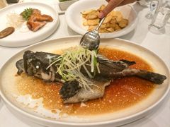 清蒸老虎斑-万龙洲海鲜·粤菜(亚运村店)