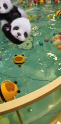 -沫奇婴幼儿水育馆(青山湖万达店)