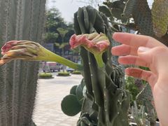 -HALO广场(梨园路店)