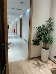 点击看大图 -深圳美莱医疗美容医院