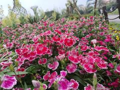 -长沙园林生态园