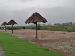 -哈素海
