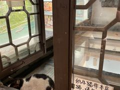 -猫的天空之城概念书店(杭州南宋御街店)