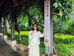 -飞来湖湿地公园