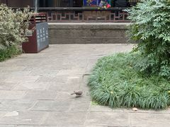 -成都武侯祠博物馆