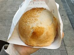 -百年夯碳烤胡椒饼(阿拉城店)