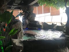 -汤乐汇•足道•SPA生活馆