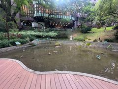 -香港大学
