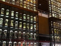 -广东中医药博物馆