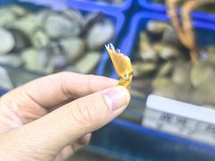 -震海贝烤贝·民俗特色店(延吉总店)
