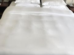 -香港尖沙咀凯悦酒店