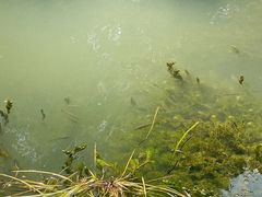 -喜洋洋蟹庄(阳澄湖店)