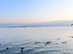 -西昌邛海湿地