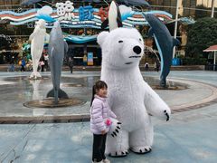 -海合安成都极地海洋公园