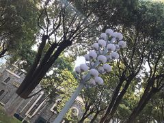 -重庆市江北嘴中央商务区中央公园