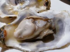 -深海800米海鲜自助(万达广场店)