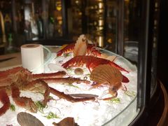 -壳里西餐厅Coquille Seafood Bistro(蒙自路店)