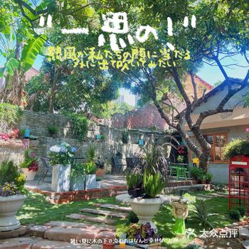 西溪古村后花园的宝藏小店!