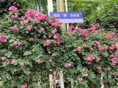 -长江路历史文化街区