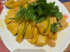 -振鼎鸡(丰庄路店)