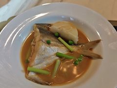 鲳鱼烧年糕-新荣记(新源南路店)