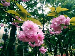 -国家会议中心大酒店