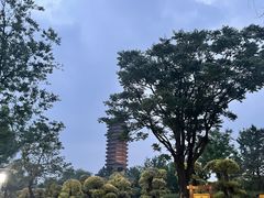 -西海子公园