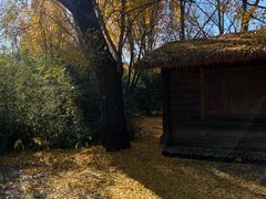 -国家植物园南园