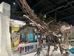 -国家自然博物馆