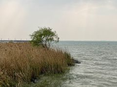 -苏州东太湖生态园