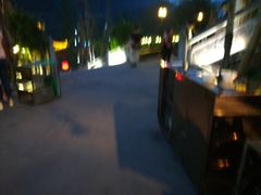 -楠柏弯休闲山庄(梨花溪店)