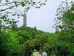 -巢湖姥山岛