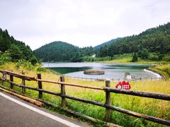 -武陵山森林公园