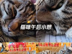 -正阳书局(西四南大街店)