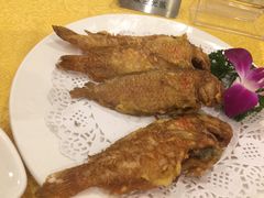 -潮人姐妹轩(海宁路店)
