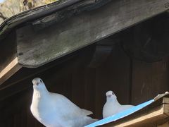 -南京老山国家森林公园